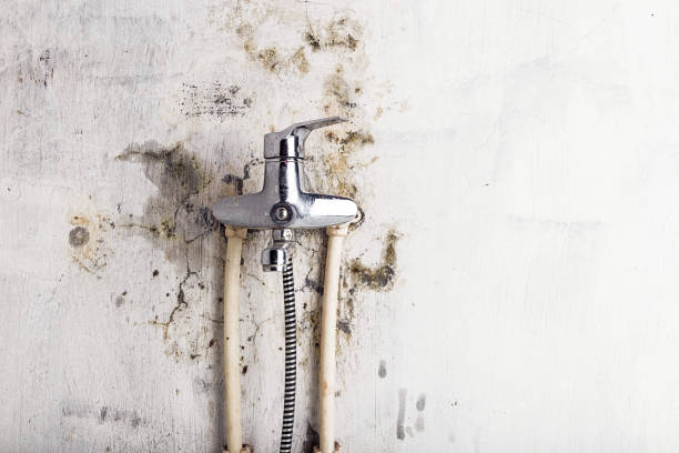 Best Commercial Mold Remediation in Hewlett Harbor, NY
